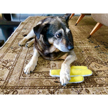 Load image into Gallery viewer, Mint Cactus Crinkle Dog Toy