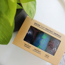 Load image into Gallery viewer, Protect Animals Gift Box: Sharks, Elephants, Dogs