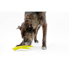 Load image into Gallery viewer, Mint Cactus Crinkle Dog Toy