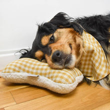 Load image into Gallery viewer, Lavender Scented Zenbones Dog Bone Toys