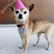Load image into Gallery viewer, Pawty Hat