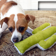 Load image into Gallery viewer, Mint Cactus Crinkle Dog Toy
