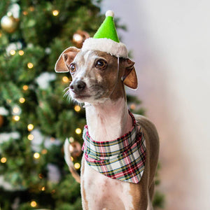 Holiday Pet Hat