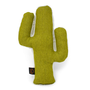 Mint Cactus Crinkle Dog Toy